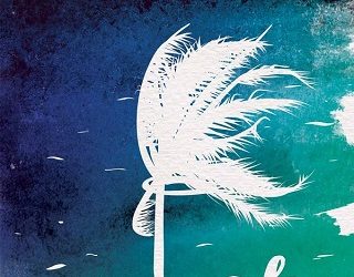 meet the sky mccall hoyle