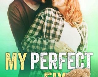 my perfect fix carey heywood