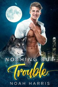 nothing but trouble, noah harris, epub, pdf, mobi, download