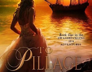 pillage a pirate heather c myers