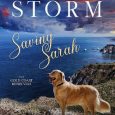 saving sarah melissa storm
