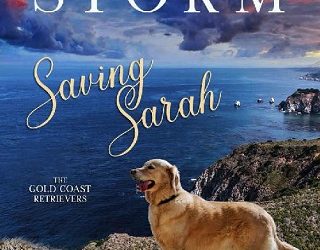 saving sarah melissa storm