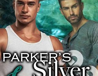 silver lineman jd light