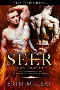 seer, erin m leaf, epub, pdf, mobi, download