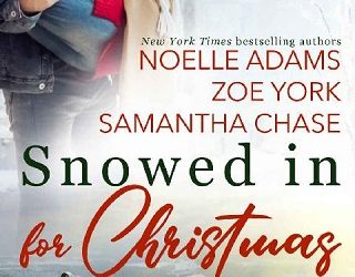 snowed christmas noelle adams