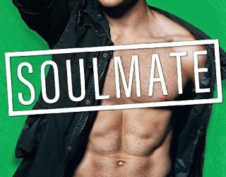 soulmate katie mccoy