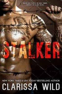 stalker, clarissa wild, epub, pdf, mobi, download