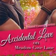 accidental love meadow cove karice bolton