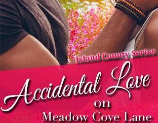 accidental love meadow cove karice bolton
