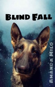 blind fall, amanda milo, epub, pdf, mobi, download