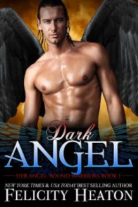 dark angel, felicity heaton, epub, pdf, mobi, download