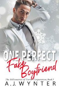 fake boyfriend, aj wynter, epub, pdf, mobi, download