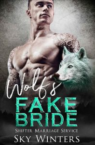 fake bride, sky winters, epub, pdf, mobi, download