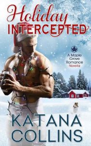 holiday intercepted, katana collins, epub, pdf, mobi, download