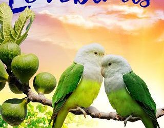 lovebirds lisa moreau