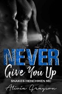 never give you up, alivia grayson, epub, pdf, mobi, download