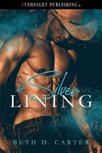 silver lining, beth d carter, epub, pdf, mobi, download