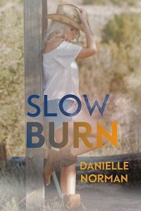 slow burn, danielle norman, epub, pdf, mobi, download
