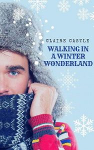 winter wonderland, claire castle, epub, pdf, mobi, download