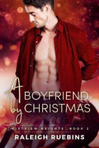boyfriend christmas, raleigh ruebins, epub, pdf, mobi, download