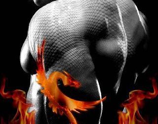 captured dragon christina wilder