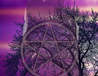 faes honor dr rosier