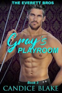 grays playroom, candice blake, epub, pdf, mobi, download