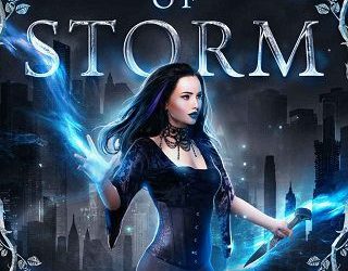heir storm dd miers