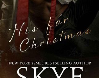 his christmas skye warren