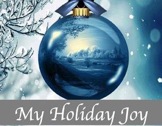 holiday joy jordan silver