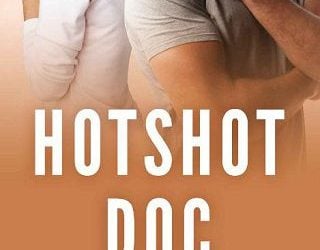hotshot doc rs grey
