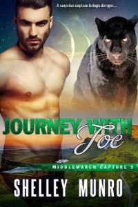 journey joe, shelley munro, epub, pdf, mobi, download