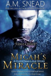 michas miracle, am snead, epub, pdf, mobi, download