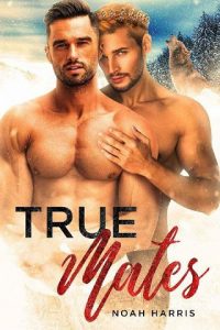 true mates, noah harris, epub, pdf, mobi, download