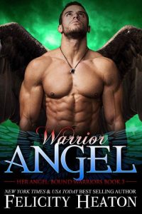 warrior angel, felicity heaton, epub, pdf, mobi, download