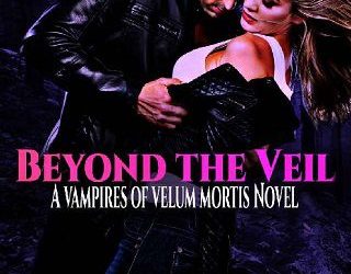 beyond veil stephanie summers