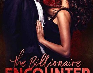 billionaire encounter nikki bloom