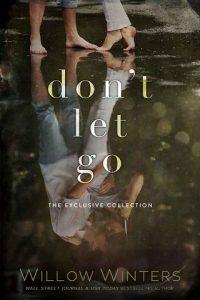 dont let go, willow winters, epub, pdf, mobi, download