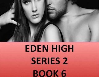 eden high 6 jordan silver