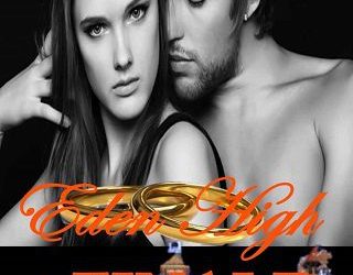 eden high finale jordan silver