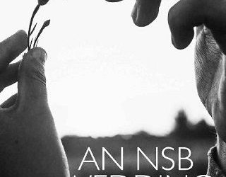 nsb wedding alyson santos