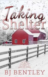 taking shelter, bj bentley, epub, pdf, mobi, download