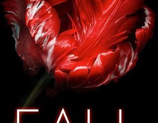 fall bella love-wins