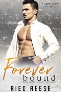 forever bound, ried reese, epub, pdf, mobi, download