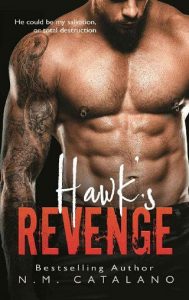 hawks revenge, nm catalano, epub, pdf, mobi, download
