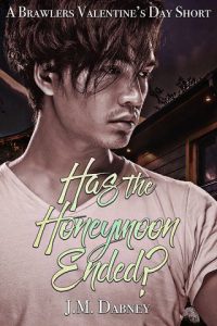 honeymoon ended, jm dabney, epub, pdf, mobi, download