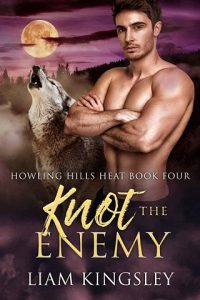 knot enemy, liam kingsley, epub, pdf, mobi, download