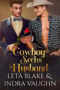 cowboy husband, leta blake, epub, pdf, mobi, download