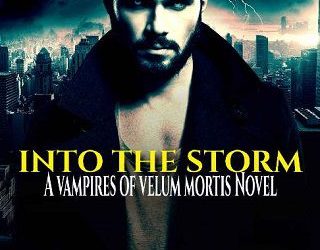 into storm stephanie summers