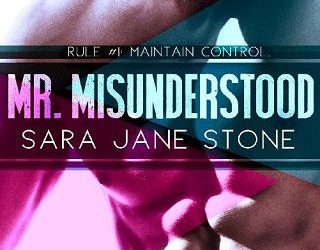 misunderstood sara jane stone